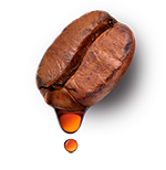 Grano de café tostado